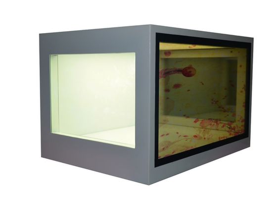 China O costume transparente do painel LCD de 21,5 polegadas aceitado considera completamente a exposição do LCD fornecedor